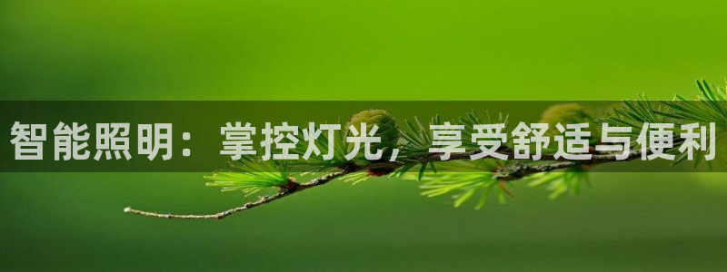 云顶国际二手房