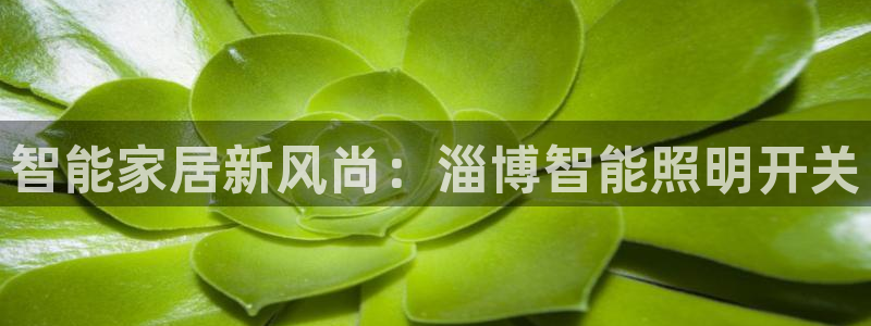 太原云顶国际酒店老板是谁