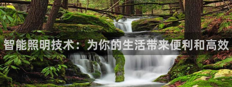 云顶国际集团 深圳