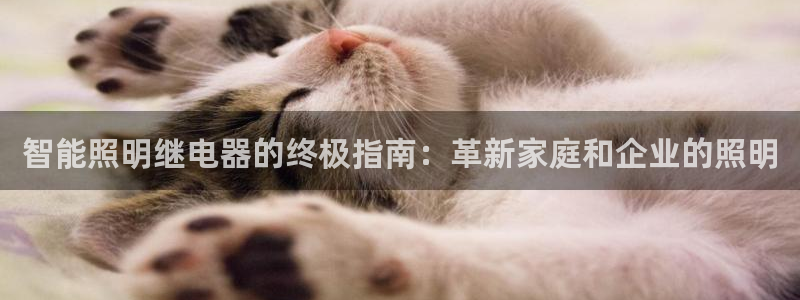 云顶12301网站
