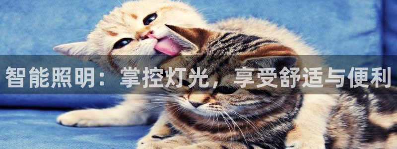 云顶国际提款不到账什么原因