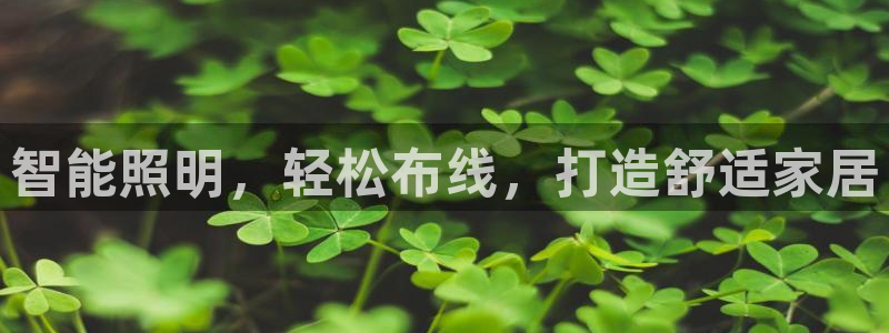 云顶国际部HKDSE