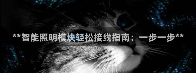 云顶国际服什么时候更新s9.5