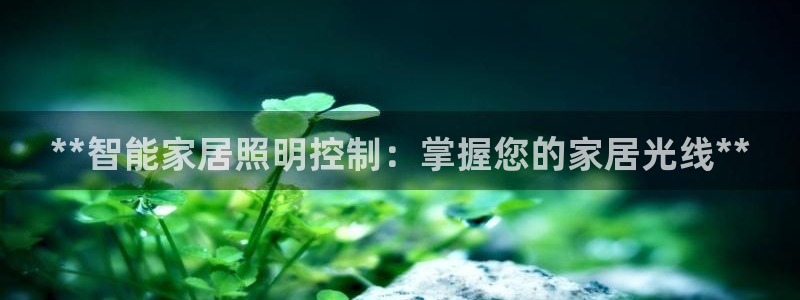 云顶国际老板是谁