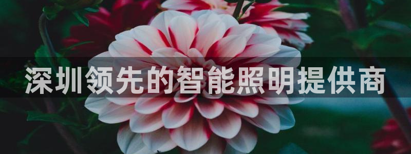 云顶国际官网app下载安卓