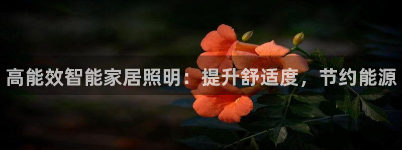 云顶国际集团官网网址