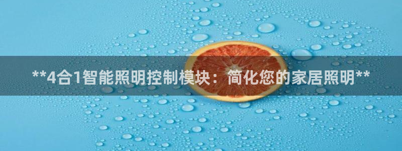云顶国际平台游戏