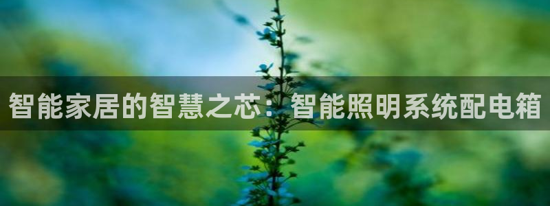云顶国际酒店位置