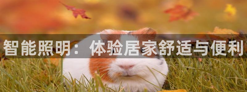 云顶集团林国泰