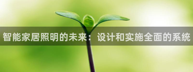 云顶国际酒店老板是谁
