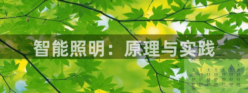 云顶国际服s9赛季什么时候出的