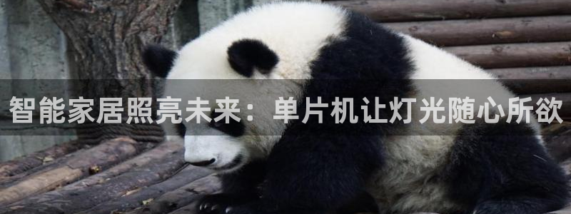云顶国际会所在哪里
