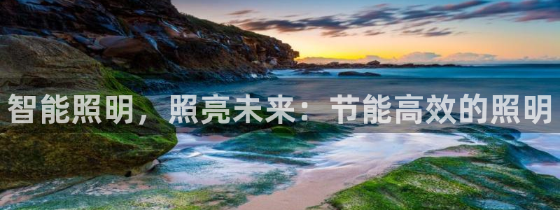 云顶国际服怎么玩
