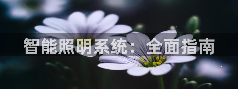 云顶国际手机app下载