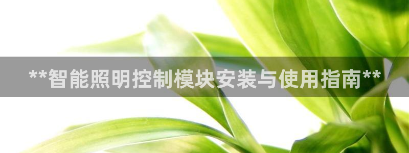 云顶国际服是哪个服