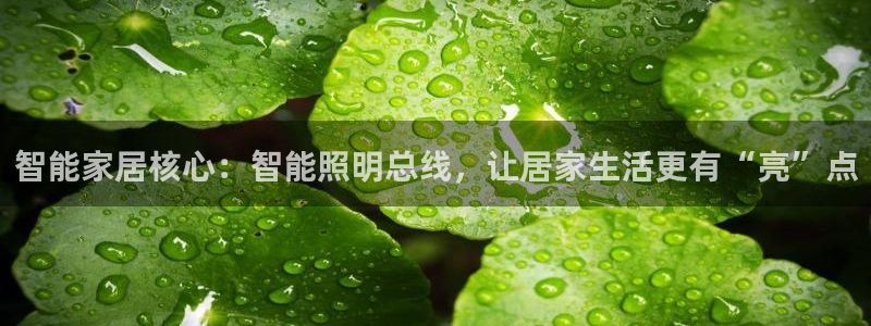 云顶国际滑雪度假小镇