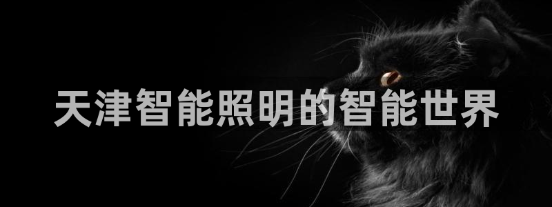 云顶国际酒店