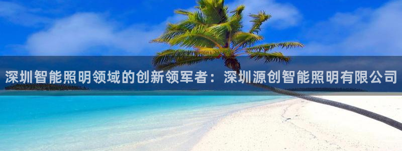云顶国际酒店老板简介