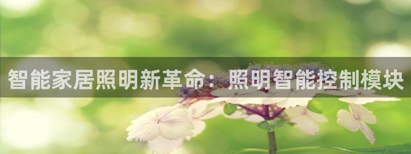云顶官网网址