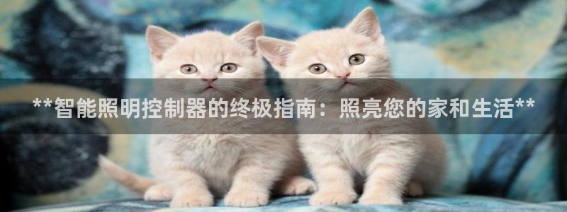 云顶国际服修改不了传说装备