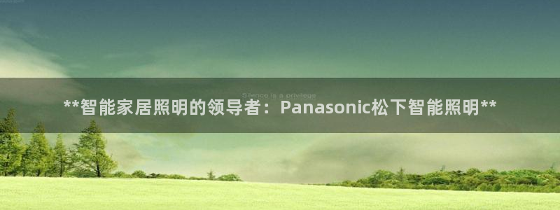 云顶国际服叫啥