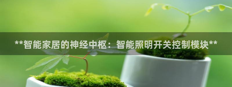 云顶最新线路检测