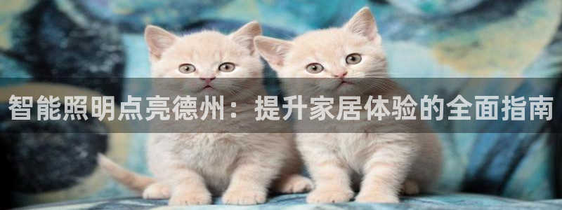 云顶国际物流有限公司