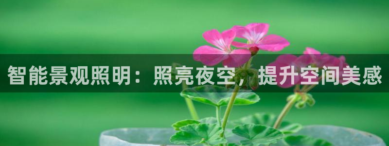 17173云顶