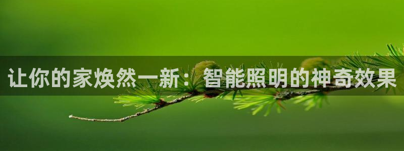 云顶国际app官方网站下载
