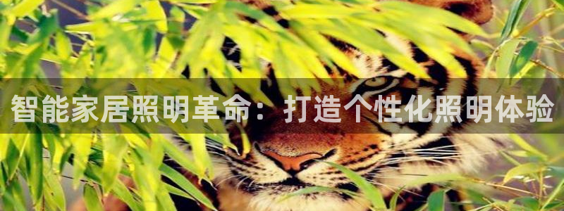 云顶国际游戏平台