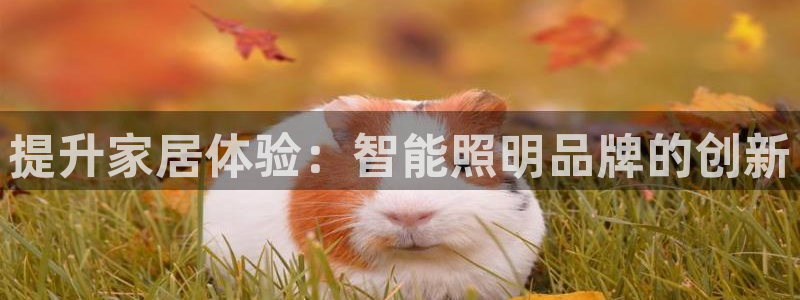 云顶集团创始人