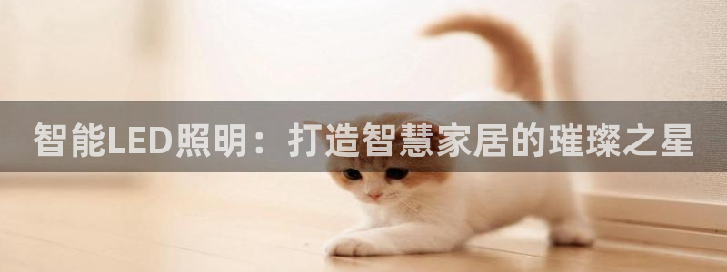 云顶国际官方网站下载手游