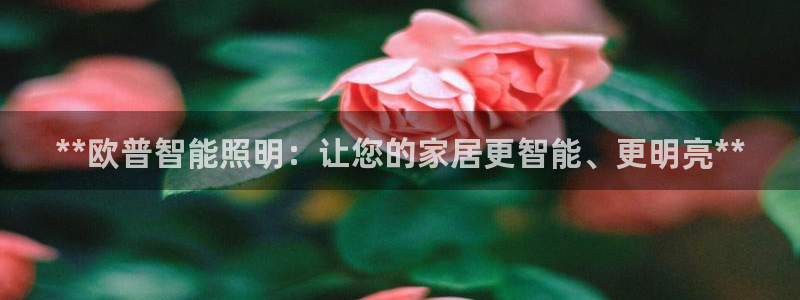 云顶国际中国官方网站下载