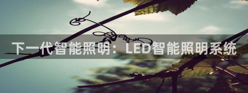 云顶国际商业广场 停车