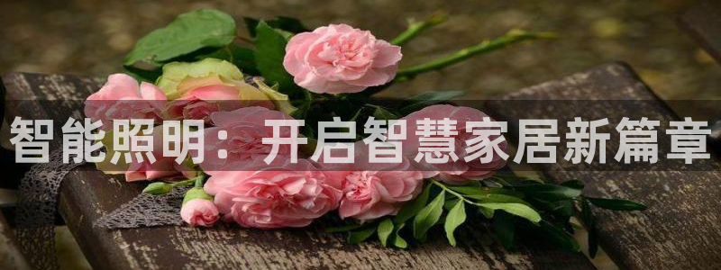 云顶国际服阵容