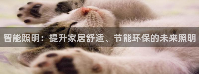 云顶国际中国官方网站下载