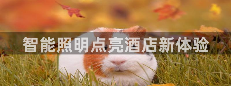 云顶国际是个什么平台游戏