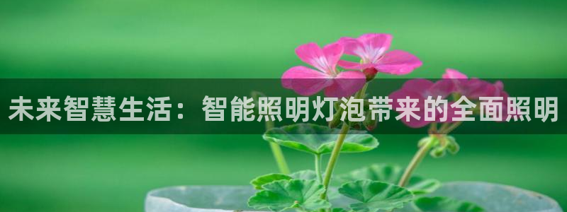 云顶国际酒店怎么样