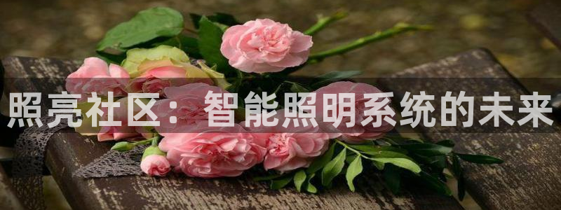 云顶国际商务会所怎么样