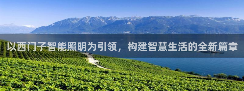 云顶集团公司