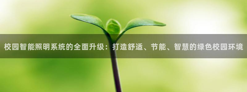 云顶线路检测 官方网站