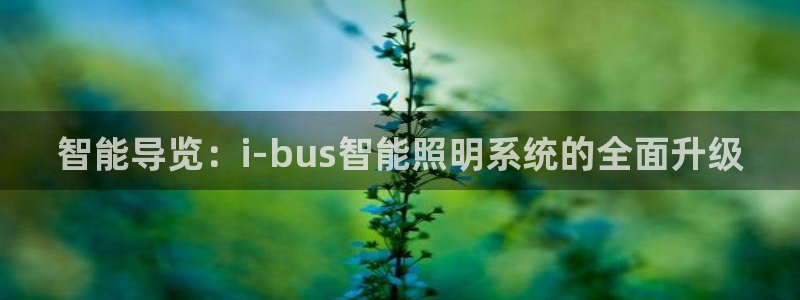 云顶集团app