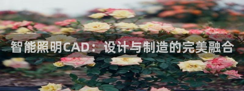 云顶国际ktv会所