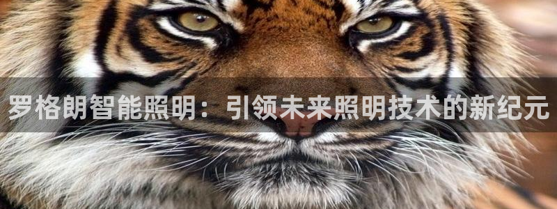 云顶国际服s11什么时候上线
