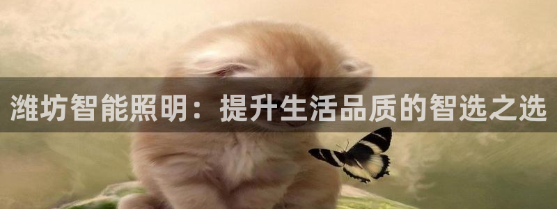 云顶国际集团游戏会不会黑钱：潍坊智能照明
