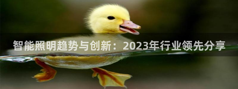 云顶国际酒店电话：智能照明趋势与创新：2