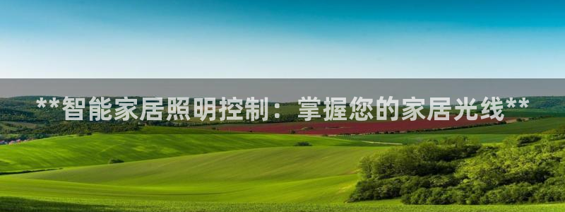 lol云顶国际服